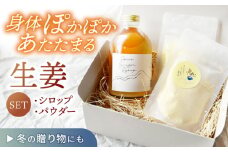 【生姜シロップ＆パウダーSET】スパイスジンジャーシロップ(290ml×1本) ジンジャーパウダー(30g×2袋) / ジンジャー シロップ 自家製 生姜 自然 暮らし ギフト / 諫早市 / のんびり山  [AHBA004]