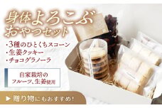 【乳製品・たまご不使用】焼菓子SET(３種のひとくちスコーン・生姜クッキー・チョコグラノーラ) / スイーツ お土産 お菓子 クッキー スコーン / 諫早市 / のんびり山 [AHBA006]
