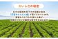 食品 やさい 野菜 サラダ 旬 甘い にんじん ニンジン 人参 キャロット きゃろっと 訳あり 訳アリ わけあり ワケアリ
