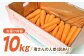 食品 やさい 野菜 サラダ 旬 甘い にんじん ニンジン 人参 キャロット きゃろっと 訳あり 訳アリ わけあり ワケアリ