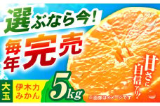 ※【2025年11月発送分／先行予約】伊木力みかん (大玉)5kg / みかん ミカン 蜜柑 柑橘 フルーツ ふるーつ 果物 くだもの / 諫早市 / 山野果樹園 [AHCF007]