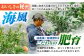 みかん ミカン 大玉 大きめ 蜜柑 柑橘 柑橘類 フルーツ ふるーつ 果物 くだもの 長崎県産 諫早産