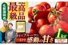 プチッと弾ける果汁　最高峰「プレ宮トマトゴールド」1kg×1箱 [AHCG020]