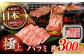 希少 長崎和牛 牛肉 ぎゅうにく 和牛 わぎゅう 国産 肉 にく 牛 焼肉 焼き肉 やきにく ハラミ はらみ BBQ アウトドア