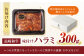 タレ たれ 漬け 味付き 長崎和牛 牛肉 ぎゅうにく 和牛 わぎゅう 国産 肉 にく 牛 焼肉 焼き肉 やきにく ハラミ はらみ
