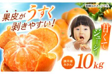 ※【2025年9月発送分／先行予約】諫早産みかん 10kg / みかん ミカン 蜜柑 フルーツ ふるーつ 果物 くだもの 10kg / 諫早市 / 松尾農園 [AHAY028]