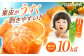 みかん 蜜柑 ミカン 柑橘 オレンジ おれんじ 果物 フルーツ 甘い