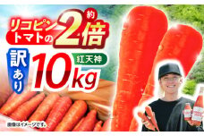 ※【2026年1月発送分／先行予約】【訳あり】【甘みと栄養たっぷり！】 真っ赤な人参 「紅天神」 10kg / にんじん ニンジン 人参 やさい 野菜 訳あり 訳アリ わけあり ワケアリ / 諫早市 / 滝商店株式会社 [AHCU006]