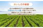 食品 やさい 野菜 サラダ 旬 甘い にんじん ニンジン 人参 キャロット きゃろっと 訳あり 訳アリ わけあり ワケアリ