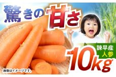 諫早産にんじん 10kg / にんじん ニンジン 人参 キャロット きゃろっと 野菜 やさい 10kg / 諫早市 / 松尾農園 [AHAY030]