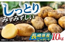 諫早産じゃがいも 10kg / じゃがいも ジャガイモ いも イモ 芋 野菜 やさい 10kg / 諫早市 / 松尾農園 [AHAY031]