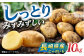 食品 やさい 野菜 サラダ 旬 甘い じゃがいも ジャガイモ いも イモ 芋 馬鈴薯 ばれいしょ 10kg 季節限定 産地直送