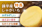 食品 やさい 野菜 サラダ 旬 甘い じゃがいも ジャガイモ いも イモ 芋 馬鈴薯 ばれいしょ 10kg 季節限定 産地直送