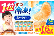 【3回定期便】※【11月より発送／先行予約】 冷凍 伊木力みかん 1.6kg(400g×4) / みかん ミカン 蜜柑 柑橘 フルーツ ふるーつ 果物 くだもの 冷凍 冷凍みかん / 諫早市 / 山野果樹園 [AHCF011]