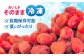 果物 フルーツ いちご イチゴ 苺 ストロベリー ベリー 冷凍 フローズン 冷凍いちご 冷凍フルーツ イチゴジャム かき氷