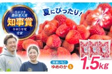 【完熟の恵み、ぎゅっと冷凍！】冷凍いちご「ゆめのか」 Sサイズ 1.5kg(500g×3) / いちご イチゴ 苺 冷凍 冷凍いちご 冷凍フルーツ イチゴジャム / 諫早市 / むらたサービス [AHFA002]