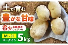 ジャガイモ(メークイーン)　5kg / 諫早市 / 未来ファーム [AHEY004]