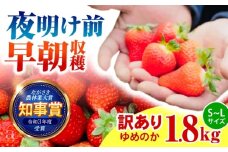 ※【2026年2月発送分／先行予約】【訳あり】【とろける甘さ、弾ける果汁！】いちご「ゆめのか」 S-Lサイズ 1.8kg / 訳あり 訳あり商品 訳あり果物 果物訳あり いちご イチゴ 苺 イチゴジャム / 諫早市 / むらたサービス [AHFA003]
