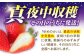 訳あり 訳あり商品 訳あり果物 果物訳あり 果物 フルーツ いちご イチゴ 苺 ストロベリー ベリー 冷凍 フローズン