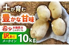 訳ありジャガイモ(メイクイーン)　10kg / 諫早市 / 未来ファーム [AHEY008]