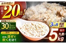 【3回定期便】長崎県産 丸麦 5kg / 麦 むぎ 雑穀 雑穀米 麦ごはん 麦飯 麦みそ 食物繊維 / 諫早市 / 有限会社伊東精麦 [AHBU014]