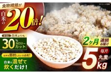 【2回定期便】長崎県産 丸麦 5kg / 麦 むぎ 雑穀 雑穀米 麦ごはん 麦飯 麦みそ 食物繊維 / 諫早市 / 有限会社伊東精麦 [AHBU013]