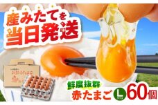【朝採れ直送】小峰鶏園 赤たまご Lサイズ 60個 / 卵 玉子 たまご 卵焼き 玉子焼き 生卵 鶏卵 卵かけごはん / 諫早市 / 小峰鶏園 [AHFB001]