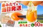 卵 玉子 たまご タマゴ 赤たまご 卵焼き 玉子焼き 生卵 ゆで卵 鶏卵 黄身 鶏 卵かけごはん とれたて