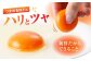 卵 玉子 たまご タマゴ 赤たまご 卵焼き 玉子焼き 生卵 ゆで卵 鶏卵 黄身 鶏 卵かけごはん とれたて