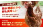 卵 玉子 たまご タマゴ 赤たまご 卵焼き 玉子焼き 生卵 ゆで卵 鶏卵 黄身 鶏 卵かけごはん とれたて