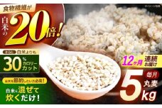 【12回定期便】長崎県産 丸麦 5kg / 麦 むぎ 雑穀 雑穀米 麦ごはん 麦飯 麦みそ 食物繊維 / 諫早市 / 有限会社伊東精麦 [AHBU016]