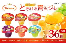 とろける味わい 200g 6種×各6個 計36個セット(みかん・ミックス・白桃・ぶどう・ピンクグレープフルーツ・シャインマスカット) [AHBR040]