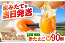 　【朝採れ直送】小峰鶏園 赤たまご Mサイズ 90個 / 卵 玉子 たまご 卵焼き 玉子焼き 生卵 鶏卵 卵かけごはん / 諫早市 / 小峰鶏園 [AHFB002]