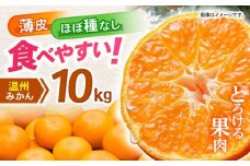 諫早市産 温州みかん 10kg / みかん ミカン 蜜柑 オレンジ フルーツ ふるーつ 果物 くだもの 10kg / 諫早市 / 肥前グローカル株式会社 [AHDI010]
