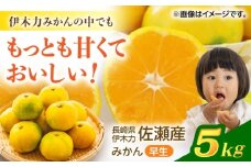 <先行受付> 伊木力佐瀬みかん(早生)5kg(混合サイズ：S～L)　/　みかん　佐瀬みかん　伊木力みかん　産地直送　産直　/　諫早市　/　山田果樹園 [AHAJ003]