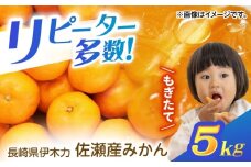 <先行受付> 伊木力佐瀬みかん5kg(混合サイズ：S～L)　/　みかん　佐瀬みかん　伊木力みかん　産地直送　産直　/　諫早市　/　山田果樹園 [AHAJ004]