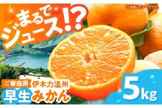 ※【2025年(令和7年)12月発送分／先行予約】伊木力温州早生みかん5kg(ご家庭用、箱入り) / 伊木力 温州みかん みかん ミカン 蜜柑 佐瀬 諫早 多良見 長崎 早生　/ 末永果樹園 [AHBD004]