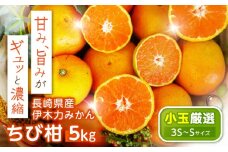 伊木力みかん(ちび柑) 5kg / みかん s みかんsサイズ ミカン 蜜柑 柑橘 フルーツ ふるーつ 果物 くだもの / 諫早市 / 山野果樹園 [AHCF013]
