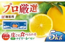 【贈答用】マイヤーレモン 5kg / レモン れもん 檸檬 果汁 柑橘 フルーツ ふるーつ 果物 くだもの / 諫早市 / 山野果樹園 [AHCF014]