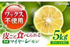 【グリーンレモンのみお届け】マイヤーレモン 5kg / レモン れもん 檸檬 果汁 グリーンレモン ぐりーんれもん 柑橘 フルーツ ふるーつ 果物 くだもの / 諫早市 / 山野果樹園 [AHCF015]