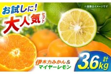 【大人気みかんとレモンのお試しセット】伊木力みかん(家庭用)1.8kg マイヤーレモン1.8kg 計3.6kg / みかん ミカン 蜜柑 mikan 柑橘 かんきつ レモン れもん 檸檬 果汁 果物 / 諫早市 / 山野果樹園 [AHCF016]