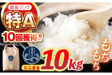 〈先行予約〉〈R7年新米〉循環農法米 にこまる白米 10kg / 米 こめ コメ おこめ お米 白米 にこまる   / 諫早市 / 株式会社土井農場 [AHAD062] 新米 しんまい