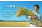 お米 米 おこめ こめ コメ にこまる ニコマル 土井農場 米10kg