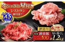 【ブランド牛＆ブランド豚の食べ比べ】諫美牛 切り落とし 600g(300g×2) ＆ 黒豚諫美豚プレミアム100 ウデ肉 切り落とし 600g(300g×2) / 切り落とし 牛肉 食べ比べ A5 赤身 焼肉 豚 豚肉 小分け ブラント豚 ハム / 諫早市 / 株式会社土井農場 [AHAD102]