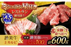 【ブランド牛＆ブランド豚の焼肉食べ比べ】諫美牛 上カルビ 300g ＆ 黒豚諫美豚プレミアム100 バラ肉 300g / カルビ 牛肉 食べ比べ A5 焼肉 豚バラ スライス ぶた ばらすらいす 小分け 肉 薄切り / 諫早市 / 株式会社土井農場 [AHAD103]