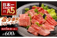 【希少部位 シャトーブリアン入り】長崎和牛 希少部位 焼肉 6種食べ比べセット 600g(各100g) / 国産 牛肉 和牛 肉 a5 焼肉 やきにく 焼き肉用 セット / 諫早市 / 野中精肉店 [AHCW146]