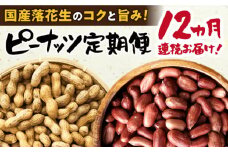 【毎月(全12回)お届け】 ピーナツ 定期便 3 / ピーナッツ ナッツ おつまみ おやつ / 大村市 / 浦川豆店[ACZR010]