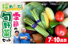農家自慢 季節の野菜セット （7～10品目） / 詰め合わせ 野菜 やさい 野菜セット 野菜詰め合わせ 旬 春野菜 夏野菜 秋野菜 / 大村市 / 産直松吉[ACZC001]