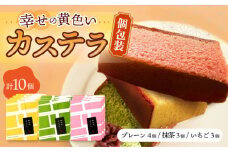 しっとり カステラ 個包装 10個 詰合せ (プレーン/抹茶/いちご) / かすてら 卵 人気 長崎 おやつ / 大村市 / 心泉堂[ACYU008]