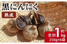 熟成 黒にんにく 合計約1kg（250g×4袋）/ 熟成 サラダ トッピング 隠し味 健康 / 大村市 / 株式会社三浦かんさく市[ACAE002]